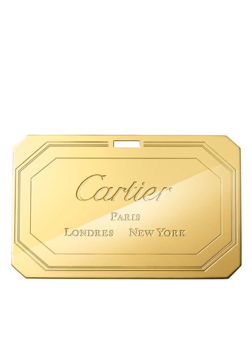 Cartier Guirlande de Cartier mini handtas van kalfsleer - detail 5 groen