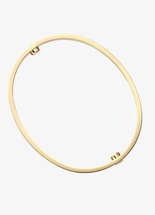 Cartier LOVE bangle, klassiek model van 18 karaat geelgoud met 0.42 ct diamant CRB6070017 - detail 3 geelgoud