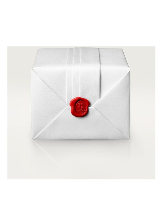 Cartier LOVE oorbellen van 18 karaat geelgoud CRB8028800 - detail 6 geelgoud