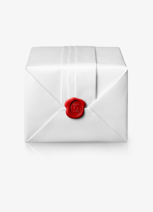 Cartier LOVE oorknopjes van 18 karaat witgoud CRB8301256 - detail 6 witgoud