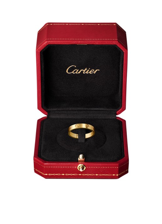 Cartier LOVE ring, klein model van 18 karaat geelgoud CRB40850 - detail 6 geelgoud