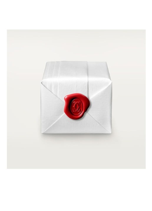 Cartier LOVE ring van 18 karaat geelgoud CRB40846 - detail 3 geelgoud