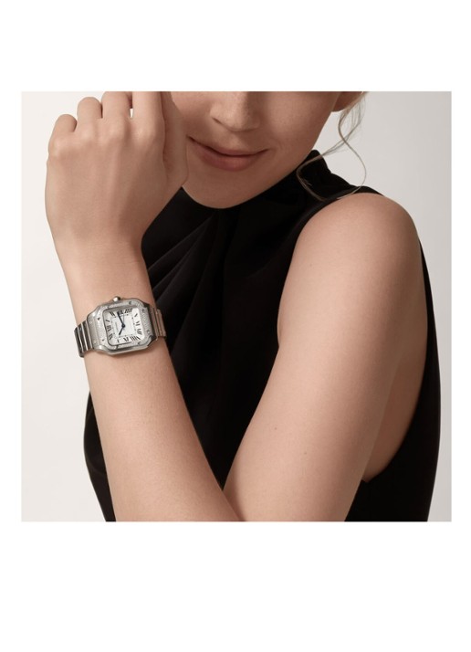 Cartier Santos de Cartier horloge met diamanten en verwisselbare bandjes CRW4SA0005 - detail 4 zilver