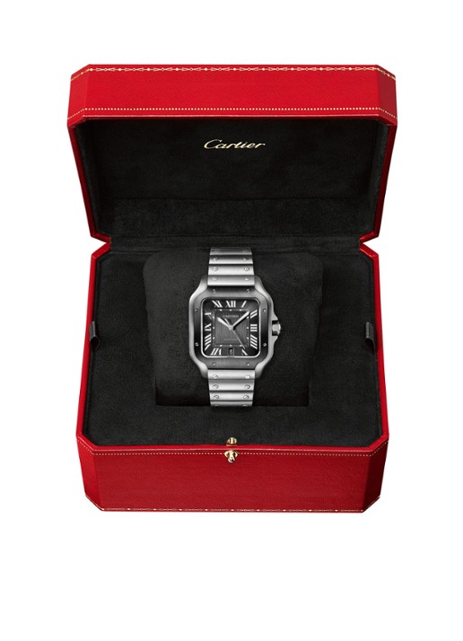 Cartier Santos de Cartier Large horloge met verwisselbaar bandje CRWSSA0037 - detail 3 zwart