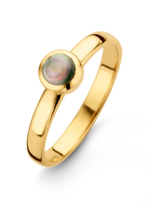 Casa Jewelry Pom Grey S ring verguld