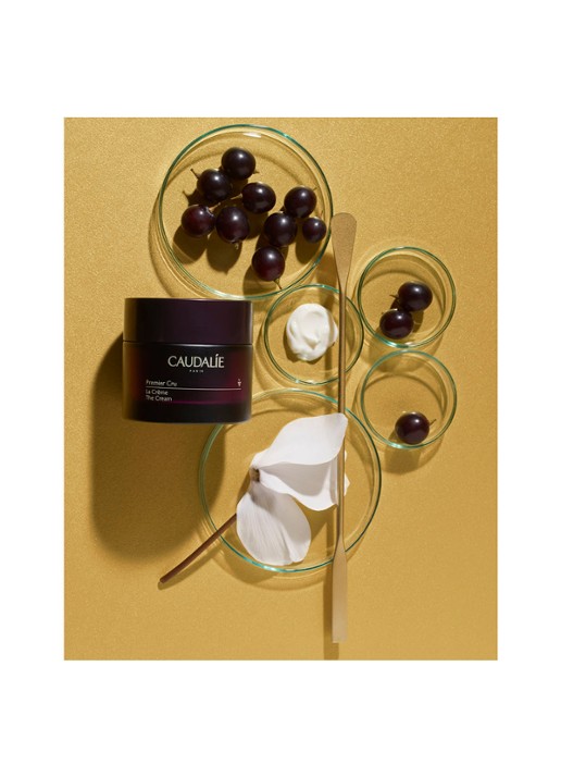 Caudalie Premier Cru De Crème - gezichtscrème - voorkant 5 undefined