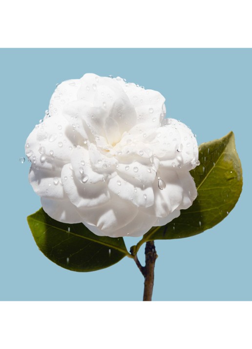 CHANEL HYDRATEREND VOLLER MAKEND VERSTERKEND - detail 5 undefined