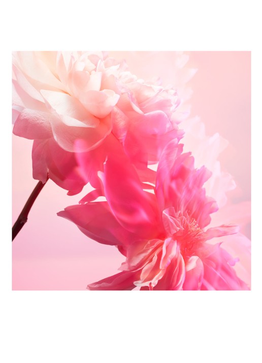 Charlotte Tilbury Love Frequency Eau de Parfum - detail 3 undefined