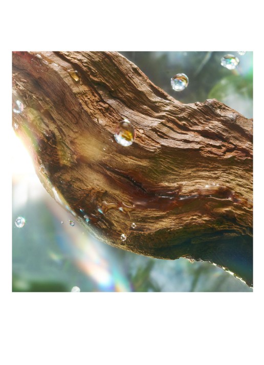 Charlotte Tilbury Magic Energy Eau de Parfum - detail 3 undefined