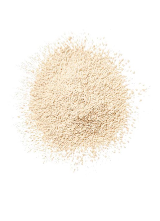 Clinique Blended Face Powder - losse poeder - detail 4 invisible blend