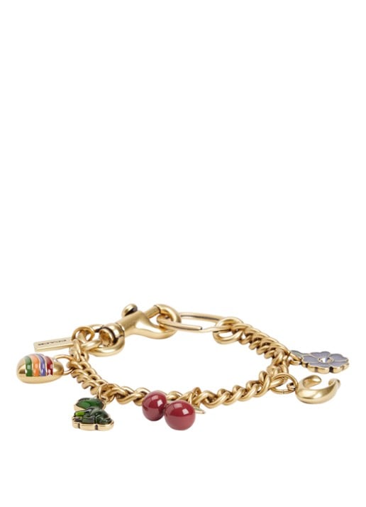 Coach Chain tasbedel