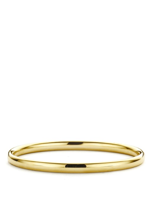 Diamond Point Bangle van 14 karaat geelgoud (M)