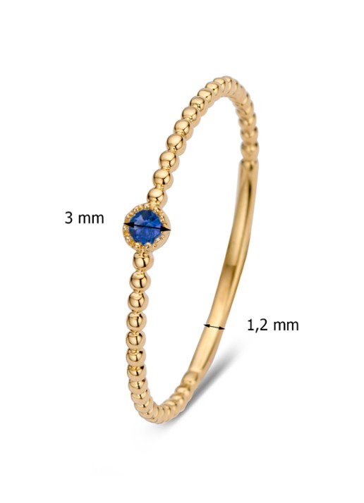 Diamond Point Geelgouden ring 0.05 ct blauwe saffier Joy - detail goud
