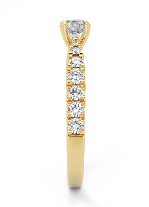 Diamond Point Geelgouden ring, 0.87 ct diamant, Perfect Match - achterkant 5 geelgoud
