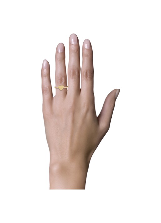 Diamond Point Geelgouden ring Dreamer  - detail 3 geelgoud
