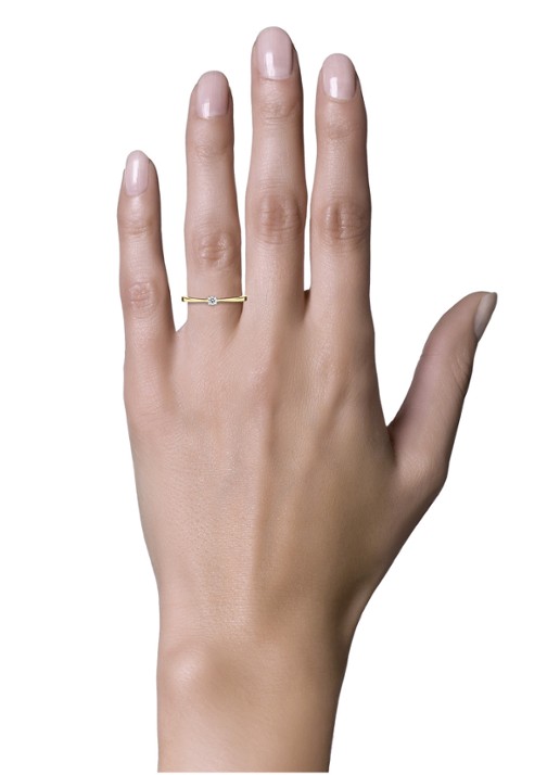 Diamond Point Gouden ring 0.05 ct diamant Starlight - detail 2 goud