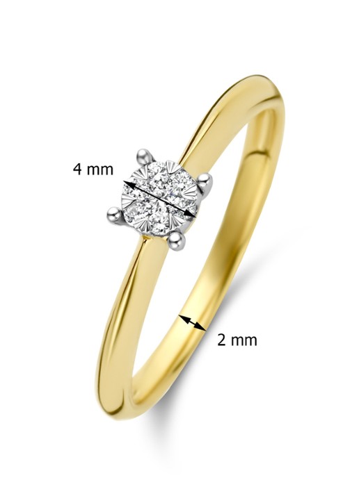 Diamond Point Gouden ring 0.10 ct diamant Enchanted - detail goud