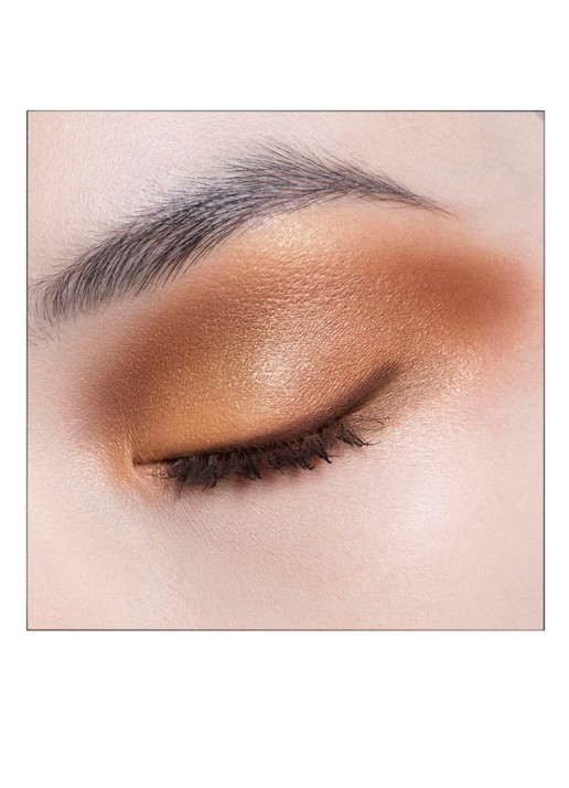 DIOR Diorshow 5 Couleurs - Oogschaduwpalette - detail 4 439 copper