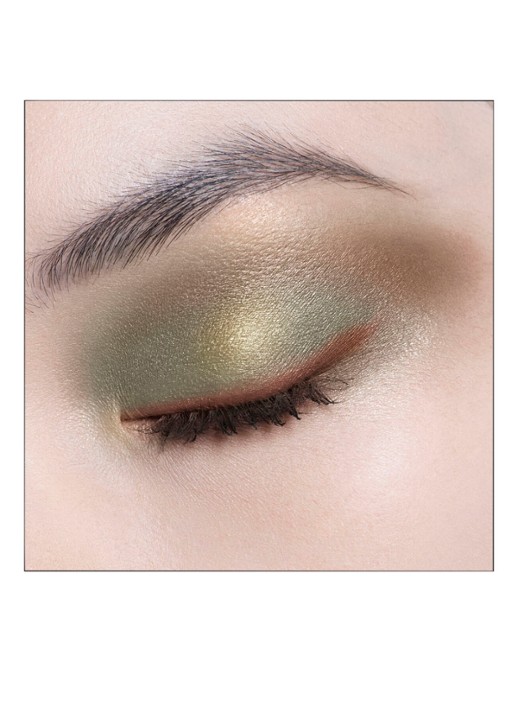 DIOR Diorshow 5 Couleurs - Oogschaduwpalette - detail 4 343 khaki