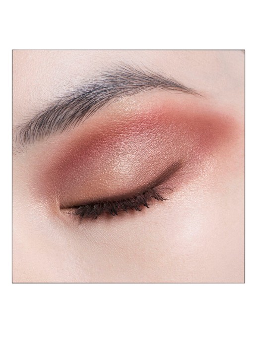 DIOR Diorshow 5 Couleurs - Oogschaduwpalette - detail 2 673 red tartan