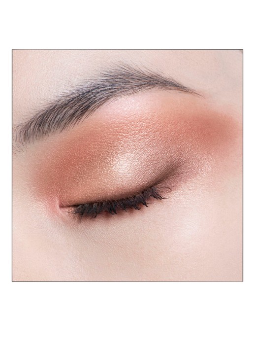 DIOR Diorshow 5 Couleurs - Oogschaduwpalette - detail 2 429 toile de jouy
