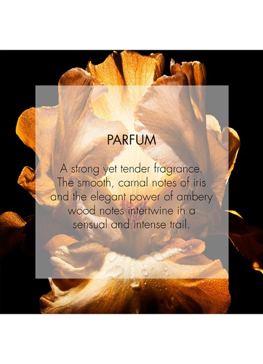 DIOR Homme Parfum - detail 7 undefined