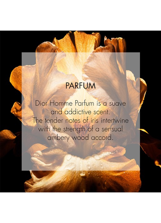 DIOR Homme Parfum - detail 3 undefined