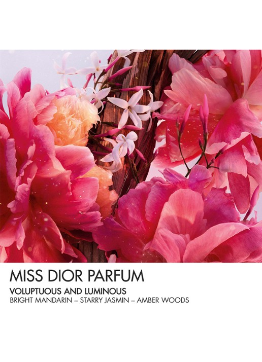 DIOR Miss Dior Parfum Roller-Pearl - detail 3 undefined
