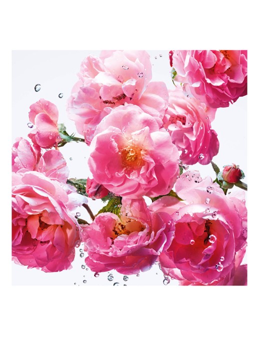 DIOR Miss Dior Rose N'Roses Eau de Toilette Roller-Pearl - detail 3 undefined