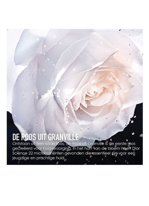 DIOR Prestige La Micro Lotion De Rose - gezichtslotion - detail 3 undefined