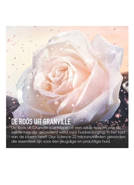 DIOR Prestige Micro-Serum de Rose Yeux - oogserum - detail 6 undefined