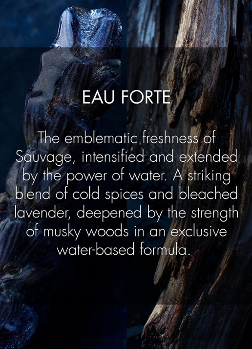 DIOR Sauvage Eau Forte - Parfum - detail 4 undefined