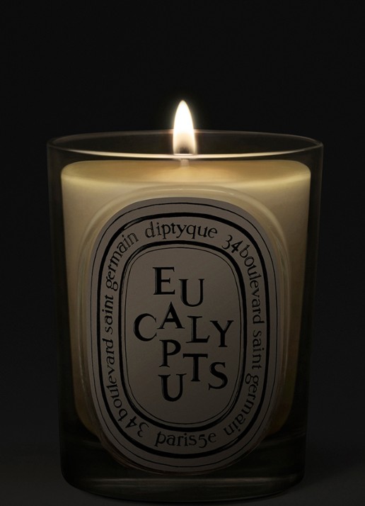 DIPTYQUE Eucalyptus Classic geurkaars 190 gram - voorkant 4 beige