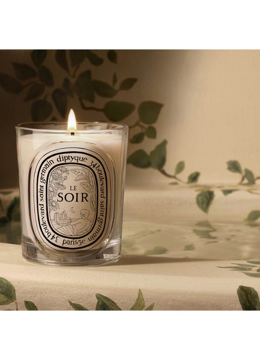 DIPTYQUE Evening Mood Candle - geurkaars - detail 3 undefined