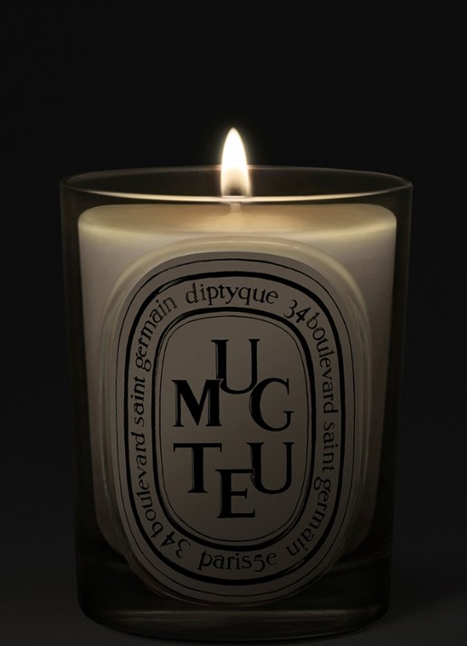 DIPTYQUE Muguet Classic geurkaars 190 gram - voorkant 2 beige