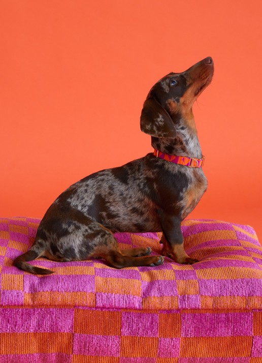 DOGGUO Block L hondenmand 105 x 65 cm  - voorkant 4 roze