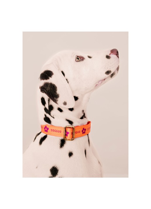 DOGGUO Flower collar M halsband voor honden 36 x 52 cm - detail 3 oranje