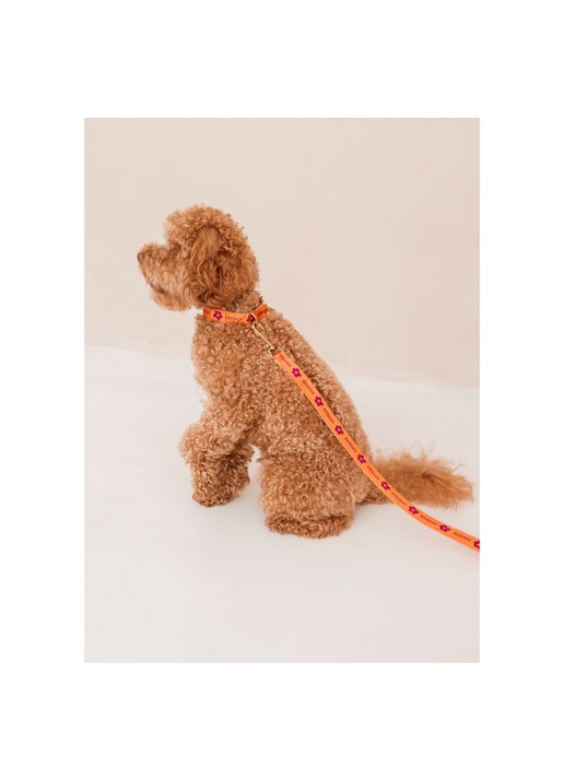 DOGGUO Flower leash hondenriem 200 cm - detail 6 oranje