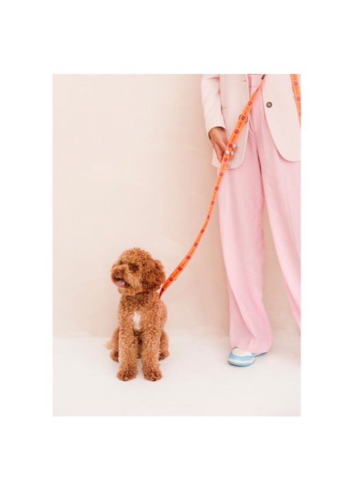 DOGGUO Flower leash hondenriem 200 cm - voorkant 2 oranje