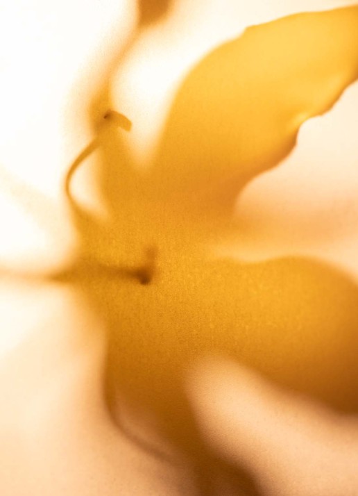 Donsje Amsterdam Geurspray 250 ml - detail 2 undefined