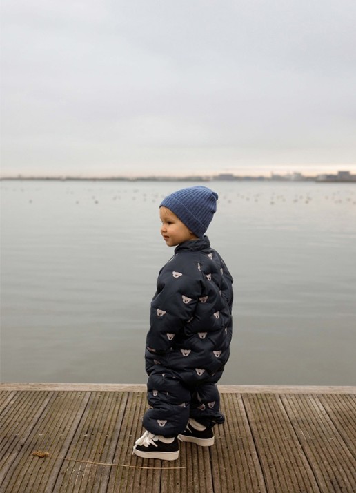 Donsje Amsterdam Tuur Overalls | Koalas - voorkant 2 blauw