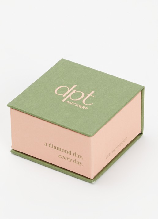 DPT Antwerp Circle diamanten oorringen verguld - detail 4 goud