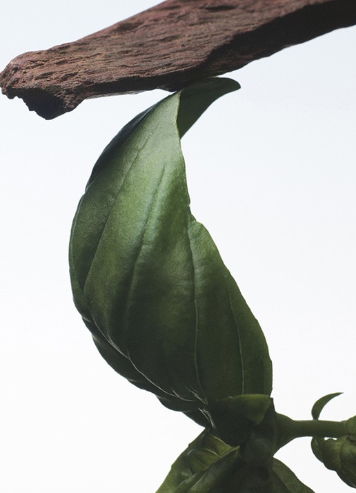 Dries Van Noten Crazy Basil Eau de Parfum - voorkant 3 undefined