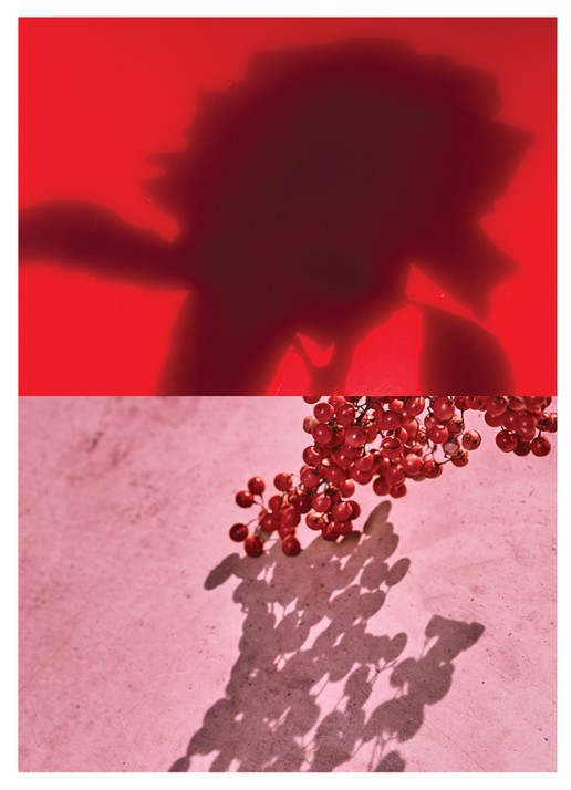 Dries Van Noten Raving Rose Eau de Parfum - detail 3 undefined