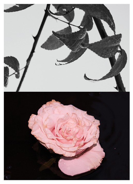 Dries Van Noten Rosa Carnivora Eau de Parfum - detail 6 undefined