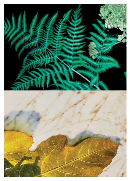 Dries Van Noten Santal Greenery Eau de Parfum - detail 3 undefined