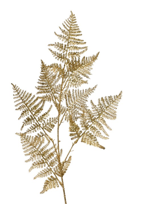 Everlands Asparagus kersttak 87 cm