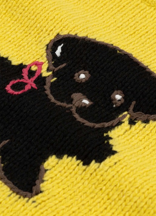 Fabienne Chapot Dog grofgebreide pullover van wol - detail 4 geel