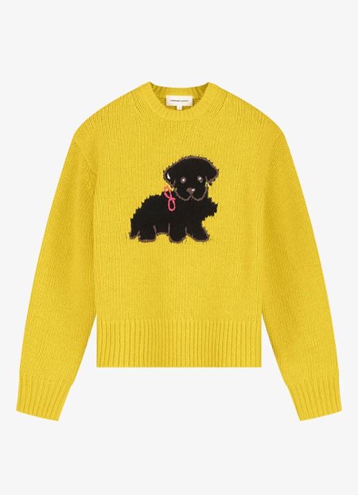 Fabienne Chapot Dog grofgebreide pullover van wol - voorkant geel