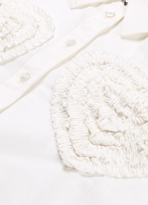 Fabienne Chapot Haidy cropped blouse met ruches en borduring - detail 5 wit